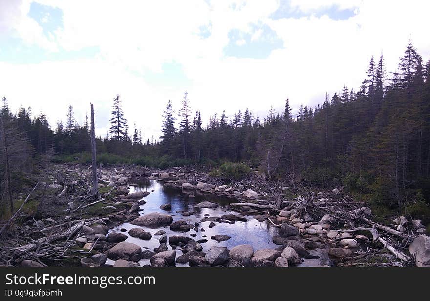 011 - Parc national de la Gaspésie : Lac aux Américains