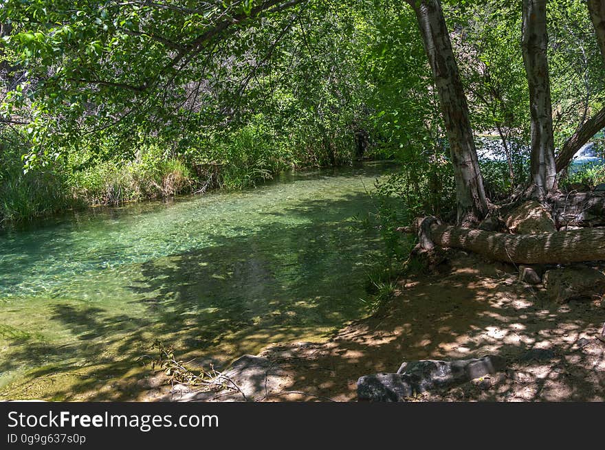 A large, natural waterfall on Fossil Creek is the destination of an easy, one mile hike on Waterfall Trail. A large, deep pool at the base of the fall is a popular swimming hole. Fossil Creek produces 20,000 gallons of water a minute from a series of springs at the bottom of a 1,600 foot deep canyon. This permanent water source has created a stunningly beautiful, green riparian zone rich with flora and fauna at the bottom of this arid canyon in Arizona&#x27;s high desert. Travertine deposits encase whatever happens to fall into the streambed, forming the fossils for which the area is named. These deposits create deep pools along the length of the creek, providing opportunities to find more secluded swimming holes than the popular pool at the waterfall. Fossil Creek is one of two &quot;Wild and Scenic&quot; rivers in Arizona. This designation was achieved when the Irving power plant was decommissioned, and removal of flume and dam on the creek allowed the creek to flow free. Increasing popularity has led to the Coconino and Tonto National Forests to implement a parking permit reservation system in 2016. Reserved parking permits allow visitors to have a parking spot available in their chosen parking lot. Many visitors drive two or three hours to get to the creek. The final descent to the creek at the bottom of a canyon is on an extremely rough, rocky jeep road. In prior years, the area would often be closed to entry when it reached capacity, and potential visitors would be turned away after the long, difficult drive. Photo by Deborah Lee Soltesz, May 4, 2016. For trail and recreation information, see Fossil Creek, Fossil Springs Wilderness, and the Coconino National Forest. A large, natural waterfall on Fossil Creek is the destination of an easy, one mile hike on Waterfall Trail. A large, deep pool at the base of the fall is a popular swimming hole. Fossil Creek produces 20,000 gallons of water a minute from a series of springs at the bottom of a 1,600 foot deep canyon. This permanent water source has created a stunningly beautiful, green riparian zone rich with flora and fauna at the bottom of this arid canyon in Arizona&#x27;s high desert. Travertine deposits encase whatever happens to fall into the streambed, forming the fossils for which the area is named. These deposits create deep pools along the length of the creek, providing opportunities to find more secluded swimming holes than the popular pool at the waterfall. Fossil Creek is one of two &quot;Wild and Scenic&quot; rivers in Arizona. This designation was achieved when the Irving power plant was decommissioned, and removal of flume and dam on the creek allowed the creek to flow free. Increasing popularity has led to the Coconino and Tonto National Forests to implement a parking permit reservation system in 2016. Reserved parking permits allow visitors to have a parking spot available in their chosen parking lot. Many visitors drive two or three hours to get to the creek. The final descent to the creek at the bottom of a canyon is on an extremely rough, rocky jeep road. In prior years, the area would often be closed to entry when it reached capacity, and potential visitors would be turned away after the long, difficult drive. Photo by Deborah Lee Soltesz, May 4, 2016. For trail and recreation information, see Fossil Creek, Fossil Springs Wilderness, and the Coconino National Forest.