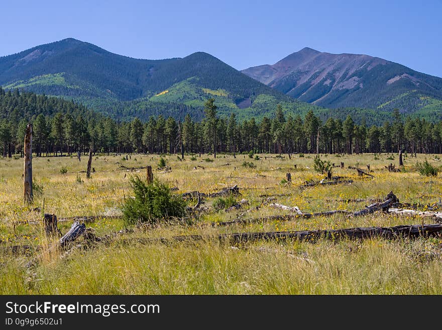 Beginnings of fall color on northern slopes of the San Francisco Peaks. This drive takes you around the north side of Arizona&#x27;s highest mountain, winding through a land of pine forests and aspen groves, open prairies and rustic homesteads. Autumn turns the mountain to gold, filling forest roads and trails with visitors come to enjoy the colorful display. There are a number of places along this route where you can stop to take a hike, enjoy a lunch or even set up a primitive camp. That way you can take more than one day to do this drive or combine it with one or more of the other scenic drives in the vicinity of the San Francisco Peaks. Photo by Deborah Lee Soltesz, September 17, 2016. Source: U.S. Forest Service, Coconino National Forest. See Around the Peaks Loop Scenic Drive for information about this drive on the Coconino National Forest we. Beginnings of fall color on northern slopes of the San Francisco Peaks. This drive takes you around the north side of Arizona&#x27;s highest mountain, winding through a land of pine forests and aspen groves, open prairies and rustic homesteads. Autumn turns the mountain to gold, filling forest roads and trails with visitors come to enjoy the colorful display. There are a number of places along this route where you can stop to take a hike, enjoy a lunch or even set up a primitive camp. That way you can take more than one day to do this drive or combine it with one or more of the other scenic drives in the vicinity of the San Francisco Peaks. Photo by Deborah Lee Soltesz, September 17, 2016. Source: U.S. Forest Service, Coconino National Forest. See Around the Peaks Loop Scenic Drive for information about this drive on the Coconino National Forest we