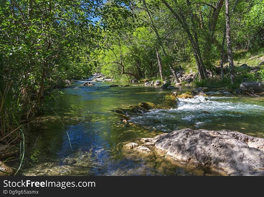 Fossil Creek produces 20,000 gallons of water a minute from a series of springs at the bottom of a 1,600 foot deep canyon. This permanent water source has created a stunningly beautiful, green riparian zone rich with flora and fauna at the bottom of this arid canyon in Arizona&#x27;s high desert. Travertine deposits encase whatever happens to fall into the streambed, forming the fossils for which the area is named. These deposits create deep pools along the length of the creek, providing opportunities to find more secluded swimming holes than the popular pool at the waterfall. Fossil Creek is one of two &quot;Wild and Scenic&quot; rivers in Arizona. This designation was achieved when the Irving power plant was decommissioned, and removal of flume and dam on the creek allowed the creek to flow free. Increasing popularity has led to the Coconino and Tonto National Forests to implement a parking permit reservation system in 2016. Reserved parking permits allow visitors to have a parking spot available in their chosen parking lot. Many visitors drive two or three hours to get to the creek. The final descent to the creek at the bottom of a canyon is on an extremely rough, rocky jeep road. In prior years, the area would often be closed to entry when it reached capacity, and potential visitors would be turned away after the long, difficult drive. Photo by Deborah Lee Soltesz, May 4, 2016. For trail and recreation information, see Fossil Creek, Fossil Springs Wilderness, and the Coconino National Forest. Fossil Creek produces 20,000 gallons of water a minute from a series of springs at the bottom of a 1,600 foot deep canyon. This permanent water source has created a stunningly beautiful, green riparian zone rich with flora and fauna at the bottom of this arid canyon in Arizona&#x27;s high desert. Travertine deposits encase whatever happens to fall into the streambed, forming the fossils for which the area is named. These deposits create deep pools along the length of the creek, providing opportunities to find more secluded swimming holes than the popular pool at the waterfall. Fossil Creek is one of two &quot;Wild and Scenic&quot; rivers in Arizona. This designation was achieved when the Irving power plant was decommissioned, and removal of flume and dam on the creek allowed the creek to flow free. Increasing popularity has led to the Coconino and Tonto National Forests to implement a parking permit reservation system in 2016. Reserved parking permits allow visitors to have a parking spot available in their chosen parking lot. Many visitors drive two or three hours to get to the creek. The final descent to the creek at the bottom of a canyon is on an extremely rough, rocky jeep road. In prior years, the area would often be closed to entry when it reached capacity, and potential visitors would be turned away after the long, difficult drive. Photo by Deborah Lee Soltesz, May 4, 2016. For trail and recreation information, see Fossil Creek, Fossil Springs Wilderness, and the Coconino National Forest.