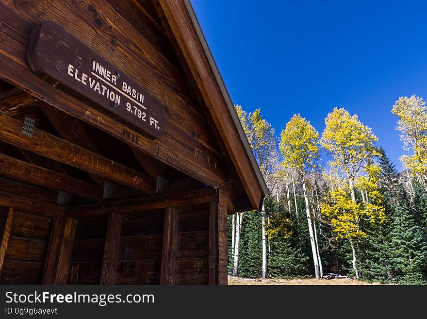 Fall color on Inner Basin Trail, October 5, 2016. Most trees are peaking or approaching peak color all along the Inner Basin Trail. Trees are approaching or at peak on the lower on Inner Basin Trail and in Lockett Meadow. A majority of the trees are at peak or past peak &#x28;and dropping leaves&#x29; on the upper part of the trail above Jack Smith Spring and in the Inner Basin. The Inner Basin Trail ascends from Lockett Meadow into the caldera of the San Francisco Peaks, an extinct volcano and home of the tallest peaks in Arizona. The first 1.7 miles of the trail winds through the extensive aspen forest flanking the upper reaches of the Peaks, joining the Waterline Trail briefly before following a jeep road into the caldera. The trail starts at an elevation of 8665 feet, gaining approximately 1200 feet over 2 miles on its way into the Inner Basin. The trail continues another 2 miles, gaining an additional 600 feet or so to join up with the Weatherford Trail. Photo by Deborah Lee Soltesz, October 5, 2016. Source: U.S. Forest Service, Coconino National Forest. See Lockett Meadow Campground and Inner Basin No. 29 for information about this area of the Peaks on the Coconino National Forest website. Fall color on Inner Basin Trail, October 5, 2016. Most trees are peaking or approaching peak color all along the Inner Basin Trail. Trees are approaching or at peak on the lower on Inner Basin Trail and in Lockett Meadow. A majority of the trees are at peak or past peak &#x28;and dropping leaves&#x29; on the upper part of the trail above Jack Smith Spring and in the Inner Basin. The Inner Basin Trail ascends from Lockett Meadow into the caldera of the San Francisco Peaks, an extinct volcano and home of the tallest peaks in Arizona. The first 1.7 miles of the trail winds through the extensive aspen forest flanking the upper reaches of the Peaks, joining the Waterline Trail briefly before following a jeep road into the caldera. The trail starts at an elevation of 8665 feet, gaining approximately 1200 feet over 2 miles on its way into the Inner Basin. The trail continues another 2 miles, gaining an additional 600 feet or so to join up with the Weatherford Trail. Photo by Deborah Lee Soltesz, October 5, 2016. Source: U.S. Forest Service, Coconino National Forest. See Lockett Meadow Campground and Inner Basin No. 29 for information about this area of the Peaks on the Coconino National Forest website.