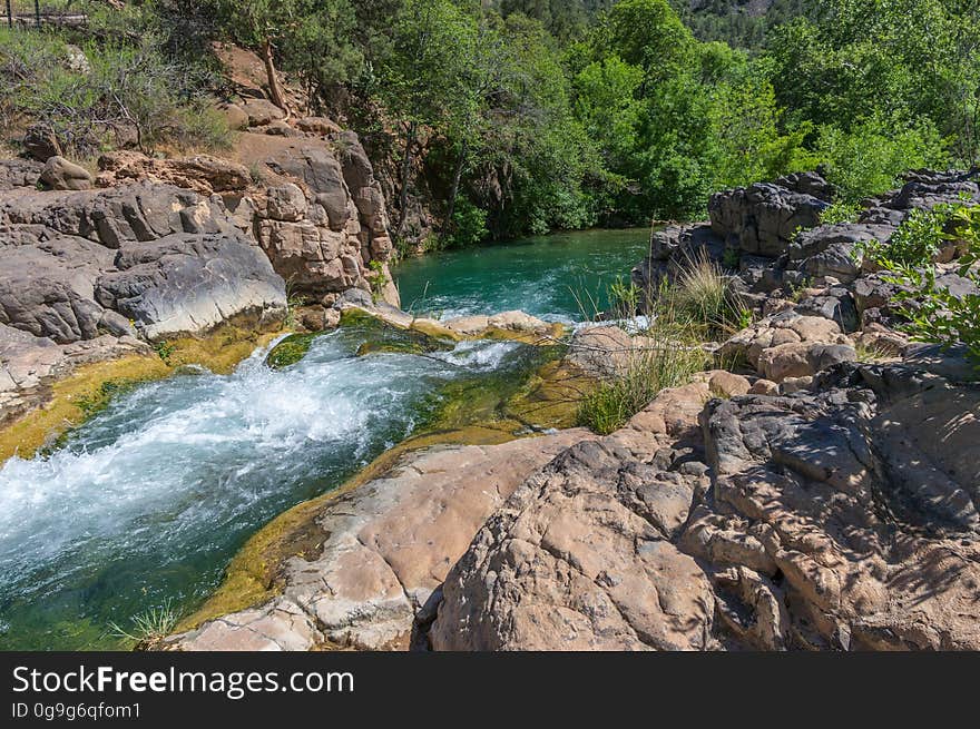 Fossil Creek produces 20,000 gallons of water a minute from a series of springs at the bottom of a 1,600 foot deep canyon. This permanent water source has created a stunningly beautiful, green riparian zone rich with flora and fauna at the bottom of this arid canyon in Arizona&#x27;s high desert. Travertine deposits encase whatever happens to fall into the streambed, forming the fossils for which the area is named. These deposits create deep pools along the length of the creek, providing opportunities to find more secluded swimming holes than the popular pool at the waterfall. Fossil Creek is one of two &quot;Wild and Scenic&quot; rivers in Arizona. This designation was achieved when the Irving power plant was decommissioned, and removal of flume and dam on the creek allowed the creek to flow free. Increasing popularity has led to the Coconino and Tonto National Forests to implement a parking permit reservation system in 2016. Reserved parking permits allow visitors to have a parking spot available in their chosen parking lot. Many visitors drive two or three hours to get to the creek. The final descent to the creek at the bottom of a canyon is on an extremely rough, rocky jeep road. In prior years, the area would often be closed to entry when it reached capacity, and potential visitors would be turned away after the long, difficult drive. Photo by Deborah Lee Soltesz, May 4, 2016. For trail and recreation information, see Fossil Creek, Fossil Springs Wilderness, and the Coconino National Forest. Fossil Creek produces 20,000 gallons of water a minute from a series of springs at the bottom of a 1,600 foot deep canyon. This permanent water source has created a stunningly beautiful, green riparian zone rich with flora and fauna at the bottom of this arid canyon in Arizona&#x27;s high desert. Travertine deposits encase whatever happens to fall into the streambed, forming the fossils for which the area is named. These deposits create deep pools along the length of the creek, providing opportunities to find more secluded swimming holes than the popular pool at the waterfall. Fossil Creek is one of two &quot;Wild and Scenic&quot; rivers in Arizona. This designation was achieved when the Irving power plant was decommissioned, and removal of flume and dam on the creek allowed the creek to flow free. Increasing popularity has led to the Coconino and Tonto National Forests to implement a parking permit reservation system in 2016. Reserved parking permits allow visitors to have a parking spot available in their chosen parking lot. Many visitors drive two or three hours to get to the creek. The final descent to the creek at the bottom of a canyon is on an extremely rough, rocky jeep road. In prior years, the area would often be closed to entry when it reached capacity, and potential visitors would be turned away after the long, difficult drive. Photo by Deborah Lee Soltesz, May 4, 2016. For trail and recreation information, see Fossil Creek, Fossil Springs Wilderness, and the Coconino National Forest.