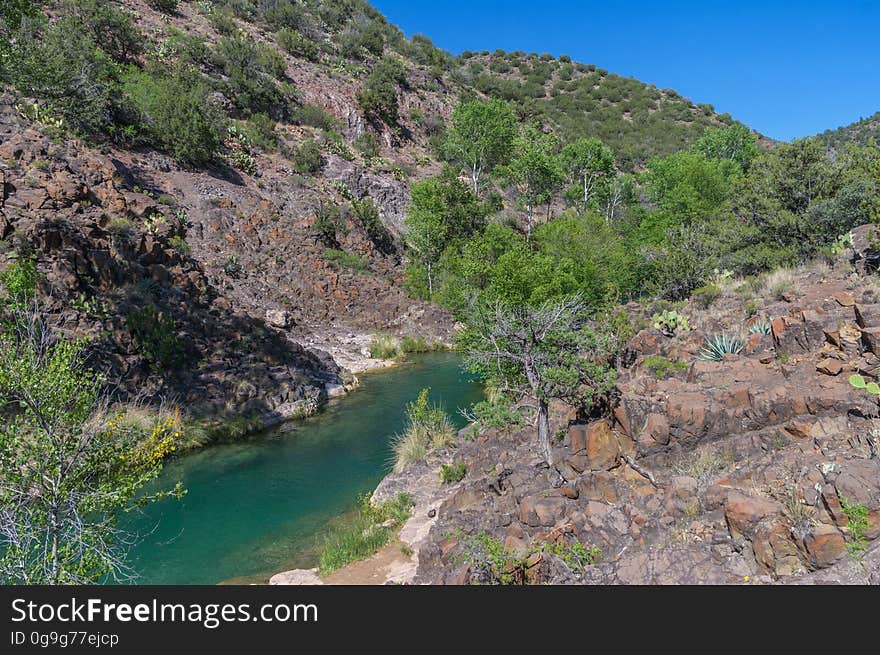 Fossil Creek produces 20,000 gallons of water a minute from a series of springs at the bottom of a 1,600 foot deep canyon. This permanent water source has created a stunningly beautiful, green riparian zone rich with flora and fauna at the bottom of this arid canyon in Arizona&#x27;s high desert. Travertine deposits encase whatever happens to fall into the streambed, forming the fossils for which the area is named. These deposits create deep pools along the length of the creek, providing opportunities to find more secluded swimming holes than the popular pool at the waterfall. Fossil Creek is one of two &quot;Wild and Scenic&quot; rivers in Arizona. This designation was achieved when the Irving power plant was decommissioned, and removal of flume and dam on the creek allowed the creek to flow free. Increasing popularity has led to the Coconino and Tonto National Forests to implement a parking permit reservation system in 2016. Reserved parking permits allow visitors to have a parking spot available in their chosen parking lot. Many visitors drive two or three hours to get to the creek. The final descent to the creek at the bottom of a canyon is on an extremely rough, rocky jeep road. In prior years, the area would often be closed to entry when it reached capacity, and potential visitors would be turned away after the long, difficult drive. Photo by Deborah Lee Soltesz, May 4, 2016. For trail and recreation information, see Fossil Creek, Fossil Springs Wilderness, and the Coconino National Forest. Fossil Creek produces 20,000 gallons of water a minute from a series of springs at the bottom of a 1,600 foot deep canyon. This permanent water source has created a stunningly beautiful, green riparian zone rich with flora and fauna at the bottom of this arid canyon in Arizona&#x27;s high desert. Travertine deposits encase whatever happens to fall into the streambed, forming the fossils for which the area is named. These deposits create deep pools along the length of the creek, providing opportunities to find more secluded swimming holes than the popular pool at the waterfall. Fossil Creek is one of two &quot;Wild and Scenic&quot; rivers in Arizona. This designation was achieved when the Irving power plant was decommissioned, and removal of flume and dam on the creek allowed the creek to flow free. Increasing popularity has led to the Coconino and Tonto National Forests to implement a parking permit reservation system in 2016. Reserved parking permits allow visitors to have a parking spot available in their chosen parking lot. Many visitors drive two or three hours to get to the creek. The final descent to the creek at the bottom of a canyon is on an extremely rough, rocky jeep road. In prior years, the area would often be closed to entry when it reached capacity, and potential visitors would be turned away after the long, difficult drive. Photo by Deborah Lee Soltesz, May 4, 2016. For trail and recreation information, see Fossil Creek, Fossil Springs Wilderness, and the Coconino National Forest.