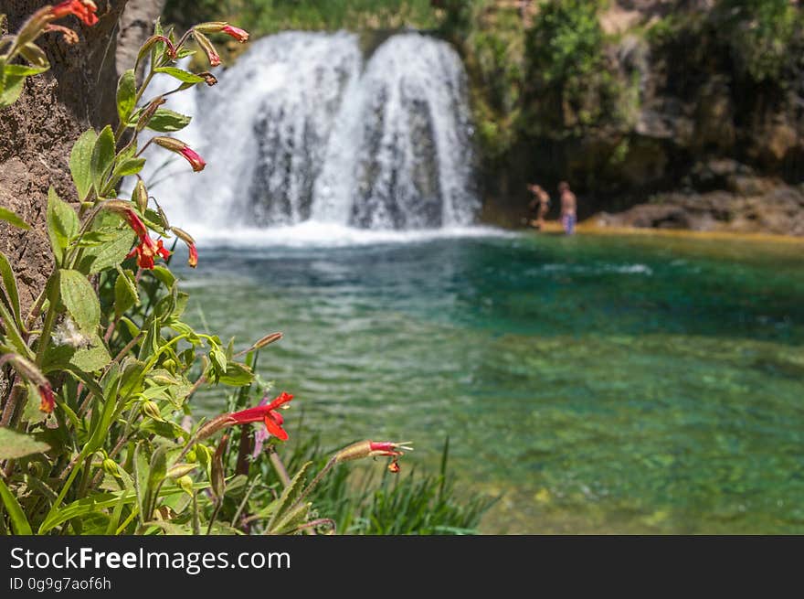 A large, natural waterfall on Fossil Creek is the destination of an easy, one mile hike on Waterfall Trail. A large, deep pool at the base of the fall is a popular swimming hole. Fossil Creek produces 20,000 gallons of water a minute from a series of springs at the bottom of a 1,600 foot deep canyon. This permanent water source has created a stunningly beautiful, green riparian zone rich with flora and fauna at the bottom of this arid canyon in Arizona&#x27;s high desert. Travertine deposits encase whatever happens to fall into the streambed, forming the fossils for which the area is named. These deposits create deep pools along the length of the creek, providing opportunities to find more secluded swimming holes than the popular pool at the waterfall. Fossil Creek is one of two &quot;Wild and Scenic&quot; rivers in Arizona. This designation was achieved when the Irving power plant was decommissioned, and removal of flume and dam on the creek allowed the creek to flow free. Increasing popularity has led to the Coconino and Tonto National Forests to implement a parking permit reservation system in 2016. Reserved parking permits allow visitors to have a parking spot available in their chosen parking lot. Many visitors drive two or three hours to get to the creek. The final descent to the creek at the bottom of a canyon is on an extremely rough, rocky jeep road. In prior years, the area would often be closed to entry when it reached capacity, and potential visitors would be turned away after the long, difficult drive. Photo by Deborah Lee Soltesz, May 4, 2016. For trail and recreation information, see Fossil Creek, Fossil Springs Wilderness, and the Coconino National Forest. A large, natural waterfall on Fossil Creek is the destination of an easy, one mile hike on Waterfall Trail. A large, deep pool at the base of the fall is a popular swimming hole. Fossil Creek produces 20,000 gallons of water a minute from a series of springs at the bottom of a 1,600 foot deep canyon. This permanent water source has created a stunningly beautiful, green riparian zone rich with flora and fauna at the bottom of this arid canyon in Arizona&#x27;s high desert. Travertine deposits encase whatever happens to fall into the streambed, forming the fossils for which the area is named. These deposits create deep pools along the length of the creek, providing opportunities to find more secluded swimming holes than the popular pool at the waterfall. Fossil Creek is one of two &quot;Wild and Scenic&quot; rivers in Arizona. This designation was achieved when the Irving power plant was decommissioned, and removal of flume and dam on the creek allowed the creek to flow free. Increasing popularity has led to the Coconino and Tonto National Forests to implement a parking permit reservation system in 2016. Reserved parking permits allow visitors to have a parking spot available in their chosen parking lot. Many visitors drive two or three hours to get to the creek. The final descent to the creek at the bottom of a canyon is on an extremely rough, rocky jeep road. In prior years, the area would often be closed to entry when it reached capacity, and potential visitors would be turned away after the long, difficult drive. Photo by Deborah Lee Soltesz, May 4, 2016. For trail and recreation information, see Fossil Creek, Fossil Springs Wilderness, and the Coconino National Forest.