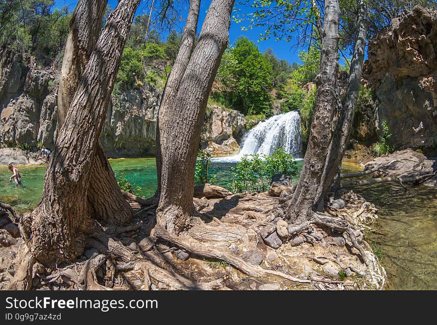 A large, natural waterfall on Fossil Creek is the destination of an easy, one mile hike on Waterfall Trail. A large, deep pool at the base of the fall is a popular swimming hole. Fossil Creek produces 20,000 gallons of water a minute from a series of springs at the bottom of a 1,600 foot deep canyon. This permanent water source has created a stunningly beautiful, green riparian zone rich with flora and fauna at the bottom of this arid canyon in Arizona&#x27;s high desert. Travertine deposits encase whatever happens to fall into the streambed, forming the fossils for which the area is named. These deposits create deep pools along the length of the creek, providing opportunities to find more secluded swimming holes than the popular pool at the waterfall. Fossil Creek is one of two &quot;Wild and Scenic&quot; rivers in Arizona. This designation was achieved when the Irving power plant was decommissioned, and removal of flume and dam on the creek allowed the creek to flow free. Increasing popularity has led to the Coconino and Tonto National Forests to implement a parking permit reservation system in 2016. Reserved parking permits allow visitors to have a parking spot available in their chosen parking lot. Many visitors drive two or three hours to get to the creek. The final descent to the creek at the bottom of a canyon is on an extremely rough, rocky jeep road. In prior years, the area would often be closed to entry when it reached capacity, and potential visitors would be turned away after the long, difficult drive. Photo by Deborah Lee Soltesz, May 4, 2016. For trail and recreation information, see Fossil Creek, Fossil Springs Wilderness, and the Coconino National Forest. A large, natural waterfall on Fossil Creek is the destination of an easy, one mile hike on Waterfall Trail. A large, deep pool at the base of the fall is a popular swimming hole. Fossil Creek produces 20,000 gallons of water a minute from a series of springs at the bottom of a 1,600 foot deep canyon. This permanent water source has created a stunningly beautiful, green riparian zone rich with flora and fauna at the bottom of this arid canyon in Arizona&#x27;s high desert. Travertine deposits encase whatever happens to fall into the streambed, forming the fossils for which the area is named. These deposits create deep pools along the length of the creek, providing opportunities to find more secluded swimming holes than the popular pool at the waterfall. Fossil Creek is one of two &quot;Wild and Scenic&quot; rivers in Arizona. This designation was achieved when the Irving power plant was decommissioned, and removal of flume and dam on the creek allowed the creek to flow free. Increasing popularity has led to the Coconino and Tonto National Forests to implement a parking permit reservation system in 2016. Reserved parking permits allow visitors to have a parking spot available in their chosen parking lot. Many visitors drive two or three hours to get to the creek. The final descent to the creek at the bottom of a canyon is on an extremely rough, rocky jeep road. In prior years, the area would often be closed to entry when it reached capacity, and potential visitors would be turned away after the long, difficult drive. Photo by Deborah Lee Soltesz, May 4, 2016. For trail and recreation information, see Fossil Creek, Fossil Springs Wilderness, and the Coconino National Forest.