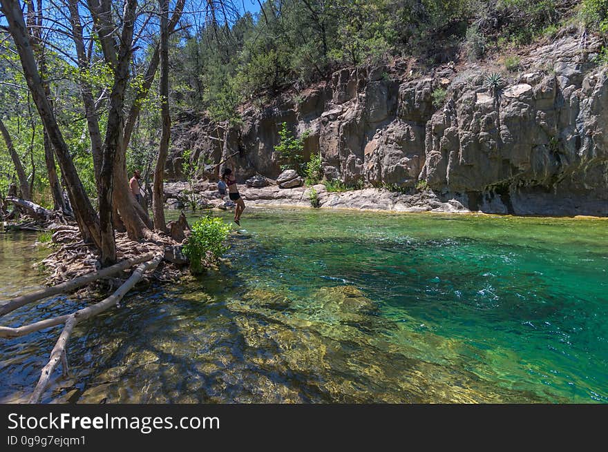 A large, natural waterfall on Fossil Creek is the destination of an easy, one mile hike on Waterfall Trail. A large, deep pool at the base of the fall is a popular swimming hole. Fossil Creek produces 20,000 gallons of water a minute from a series of springs at the bottom of a 1,600 foot deep canyon. This permanent water source has created a stunningly beautiful, green riparian zone rich with flora and fauna at the bottom of this arid canyon in Arizona&#x27;s high desert. Travertine deposits encase whatever happens to fall into the streambed, forming the fossils for which the area is named. These deposits create deep pools along the length of the creek, providing opportunities to find more secluded swimming holes than the popular pool at the waterfall. Fossil Creek is one of two &quot;Wild and Scenic&quot; rivers in Arizona. This designation was achieved when the Irving power plant was decommissioned, and removal of flume and dam on the creek allowed the creek to flow free. Increasing popularity has led to the Coconino and Tonto National Forests to implement a parking permit reservation system in 2016. Reserved parking permits allow visitors to have a parking spot available in their chosen parking lot. Many visitors drive two or three hours to get to the creek. The final descent to the creek at the bottom of a canyon is on an extremely rough, rocky jeep road. In prior years, the area would often be closed to entry when it reached capacity, and potential visitors would be turned away after the long, difficult drive. Photo by Deborah Lee Soltesz, May 4, 2016. For trail and recreation information, see Fossil Creek, Fossil Springs Wilderness, and the Coconino National Forest. A large, natural waterfall on Fossil Creek is the destination of an easy, one mile hike on Waterfall Trail. A large, deep pool at the base of the fall is a popular swimming hole. Fossil Creek produces 20,000 gallons of water a minute from a series of springs at the bottom of a 1,600 foot deep canyon. This permanent water source has created a stunningly beautiful, green riparian zone rich with flora and fauna at the bottom of this arid canyon in Arizona&#x27;s high desert. Travertine deposits encase whatever happens to fall into the streambed, forming the fossils for which the area is named. These deposits create deep pools along the length of the creek, providing opportunities to find more secluded swimming holes than the popular pool at the waterfall. Fossil Creek is one of two &quot;Wild and Scenic&quot; rivers in Arizona. This designation was achieved when the Irving power plant was decommissioned, and removal of flume and dam on the creek allowed the creek to flow free. Increasing popularity has led to the Coconino and Tonto National Forests to implement a parking permit reservation system in 2016. Reserved parking permits allow visitors to have a parking spot available in their chosen parking lot. Many visitors drive two or three hours to get to the creek. The final descent to the creek at the bottom of a canyon is on an extremely rough, rocky jeep road. In prior years, the area would often be closed to entry when it reached capacity, and potential visitors would be turned away after the long, difficult drive. Photo by Deborah Lee Soltesz, May 4, 2016. For trail and recreation information, see Fossil Creek, Fossil Springs Wilderness, and the Coconino National Forest.