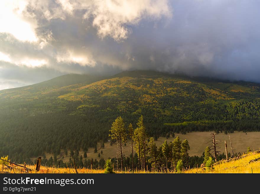 The sun rises as the last wisps of a passing storm blanket the San Francisco Peaks. Fall color on the San Francisco Peaks, viewed from the White Horse Hills along Forest Road 418, October 2, 2016. This drive takes you all the way around Arizona&#x27;s highest mountain, winding through a land of pine forests and aspen groves, open prairies and rustic homesteads. Autumn turns the mountain to gold, filling forest roads and trails with visitors come to enjoy the colorful display. Because the road becomes very rough and rocky between Bear Jaw and Abineau canyons, a mid to high clearance vehicle is required to complete the loop. However, fall color can be seen on either end of the road accessible to low clearance passenger cars. There are a number of places along this route where you can stop to take a hike, enjoy a lunch or even set up a primitive camp. That way you can take more than one day to do this drive or combine it with one or more of the other scenic drives in the vicinity of the San Francisco Peaks. The White Horse Hills are northwest of the Abineau-Bear Jaw Trailhead entrance on the north side of the road. There are no system trails into the hills, but there is an old two-track leading into valley between the hills that is easy to follow on foot. Photo by Deborah Lee Soltesz, October 2, 2016. Source: U.S. Forest Service, Coconino National Forest. See Around the Peaks Loop Scenic Drive for information about this drive on the Coconino National Forest website. The sun rises as the last wisps of a passing storm blanket the San Francisco Peaks. Fall color on the San Francisco Peaks, viewed from the White Horse Hills along Forest Road 418, October 2, 2016. This drive takes you all the way around Arizona&#x27;s highest mountain, winding through a land of pine forests and aspen groves, open prairies and rustic homesteads. Autumn turns the mountain to gold, filling forest roads and trails with visitors come to enjoy the colorful display. Because the road becomes very rough and rocky between Bear Jaw and Abineau canyons, a mid to high clearance vehicle is required to complete the loop. However, fall color can be seen on either end of the road accessible to low clearance passenger cars. There are a number of places along this route where you can stop to take a hike, enjoy a lunch or even set up a primitive camp. That way you can take more than one day to do this drive or combine it with one or more of the other scenic drives in the vicinity of the San Francisco Peaks. The White Horse Hills are northwest of the Abineau-Bear Jaw Trailhead entrance on the north side of the road. There are no system trails into the hills, but there is an old two-track leading into valley between the hills that is easy to follow on foot. Photo by Deborah Lee Soltesz, October 2, 2016. Source: U.S. Forest Service, Coconino National Forest. See Around the Peaks Loop Scenic Drive for information about this drive on the Coconino National Forest website.