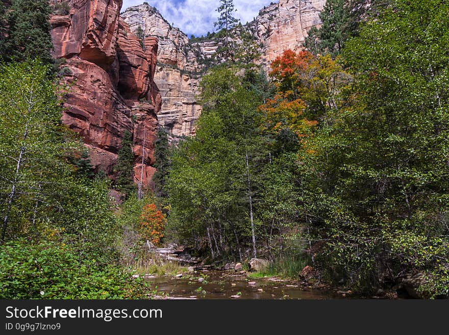 The brilliant red, orange, and yellows of changing maple leaves mark the start of fall color in the West Fork of Oak Creek Canyon, October 12, 2016. There are a number of reasons why West Fork is one of the most popular trails on the Coconino National Forest. West Fork is fantastic throughout the year, but in autumn, the canyon is ablaze with color. Red and gold leaves float in clear reflecting pools along the creek, under a canopy of solid color. As for the trail itself, it&#x27;s an easy stroll, but you do have to cross the stream in a number of places. Usually, that involves negotiating a few strategically placed stepping stones or taking a couple of steps in shallow water. The trail is marked and maintained for the first three miles. It ends at a deep pool in a narrow spot in the canyon. Parking is available at Call of the Canyon picnic site for a fee. This is a special fee site run by a concessionaire. Photo by Deborah Lee Soltesz, October 12, 2016. Credit: Coconino National Forest, U.S. Forest Service. Learn more about the West Fork of Oak Creek Canyon, Trail No. 108, Call of the Canyon picnic site, and the Coconino National Forest. The brilliant red, orange, and yellows of changing maple leaves mark the start of fall color in the West Fork of Oak Creek Canyon, October 12, 2016. There are a number of reasons why West Fork is one of the most popular trails on the Coconino National Forest. West Fork is fantastic throughout the year, but in autumn, the canyon is ablaze with color. Red and gold leaves float in clear reflecting pools along the creek, under a canopy of solid color. As for the trail itself, it&#x27;s an easy stroll, but you do have to cross the stream in a number of places. Usually, that involves negotiating a few strategically placed stepping stones or taking a couple of steps in shallow water. The trail is marked and maintained for the first three miles. It ends at a deep pool in a narrow spot in the canyon. Parking is available at Call of the Canyon picnic site for a fee. This is a special fee site run by a concessionaire. Photo by Deborah Lee Soltesz, October 12, 2016. Credit: Coconino National Forest, U.S. Forest Service. Learn more about the West Fork of Oak Creek Canyon, Trail No. 108, Call of the Canyon picnic site, and the Coconino National Forest.