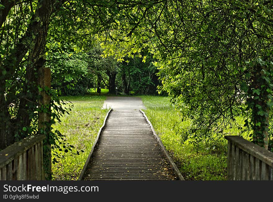 Promenade à la voie verte