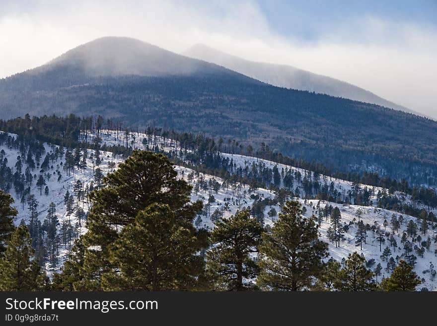 A winter storm December 24, 2016 brough a white Christmas across the state, with several inches to a foot falling around the Flagstaff, Arizona area. View from northeast of the San Francisco Peaks, hiking on FR 9125 into an unnamed crater. Photo by Deborah Lee Soltesz, December 25, 2016. Credit: Coconino National Forest, U.S. Forest Service.