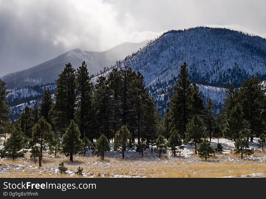 A winter storm December 24, 2016 brough a white Christmas across the state, with several inches to a foot falling around the Flagstaff, Arizona area. View from northeast of the San Francisco Peaks, hiking on FR 9125 into an unnamed crater. Photo by Deborah Lee Soltesz, December 25, 2016. Credit: Coconino National Forest, U.S. Forest Service.