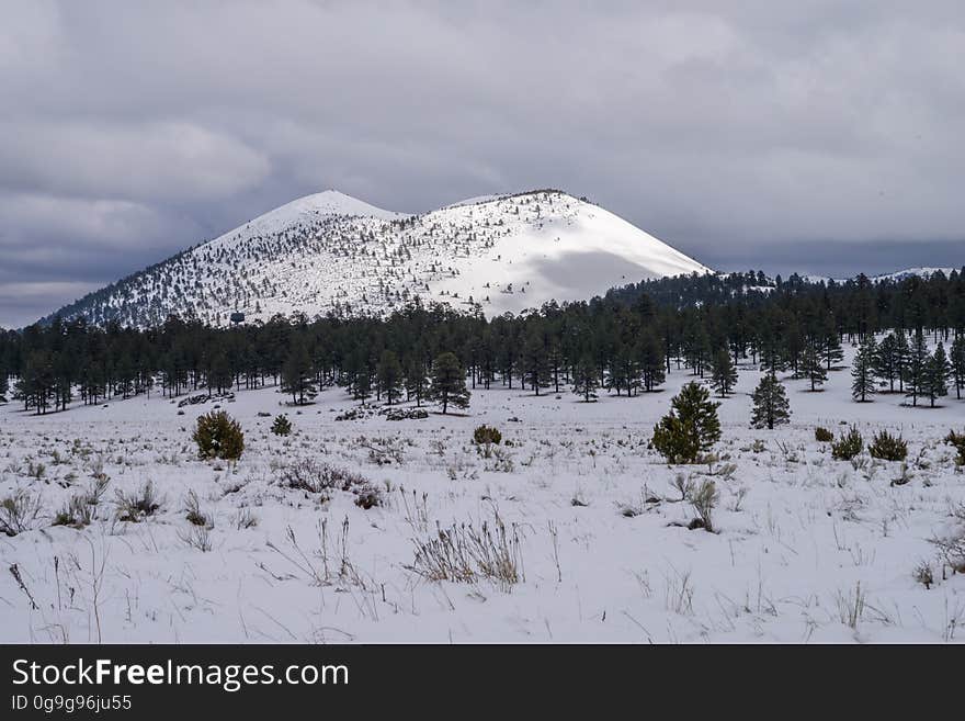 Winter day at Bonito Park near Sunset Crater Volcano and O&#x27;Leary Peak. View of Sunset Crater Volcano. Photo by Deborah Lee Soltesz, January 16, 2017. Credit: Coconino National Forest, U.S. Forest Service. Learn more about the Flagstaff Ranger District on the Coconino National Forest. Winter day at Bonito Park near Sunset Crater Volcano and O&#x27;Leary Peak. View of Sunset Crater Volcano. Photo by Deborah Lee Soltesz, January 16, 2017. Credit: Coconino National Forest, U.S. Forest Service. Learn more about the Flagstaff Ranger District on the Coconino National Forest.