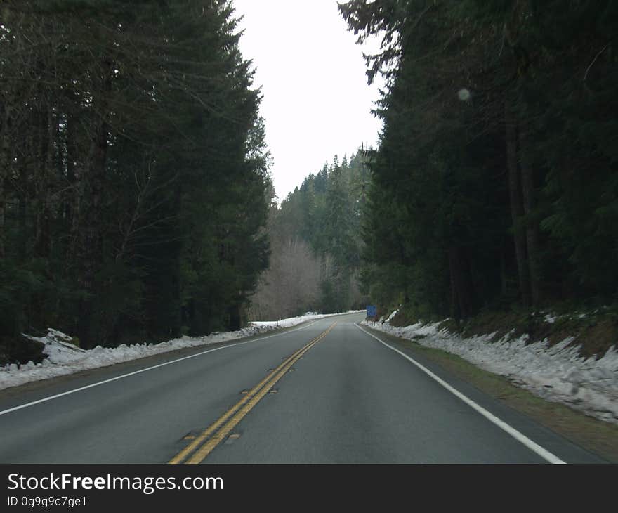 Sky, Road surface, Natural landscape, Asphalt, Tree, Plant