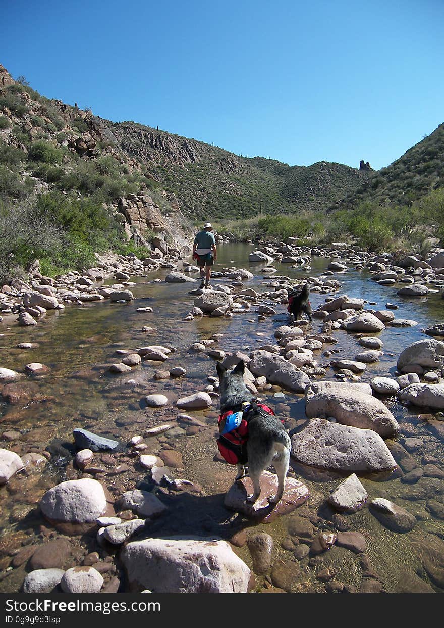 Crossing the creek. Crossing the creek