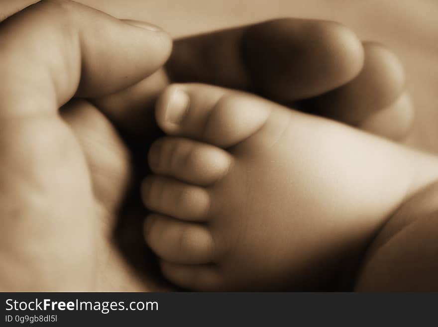 A person holding the foot of a newborn baby in their hand. A person holding the foot of a newborn baby in their hand.