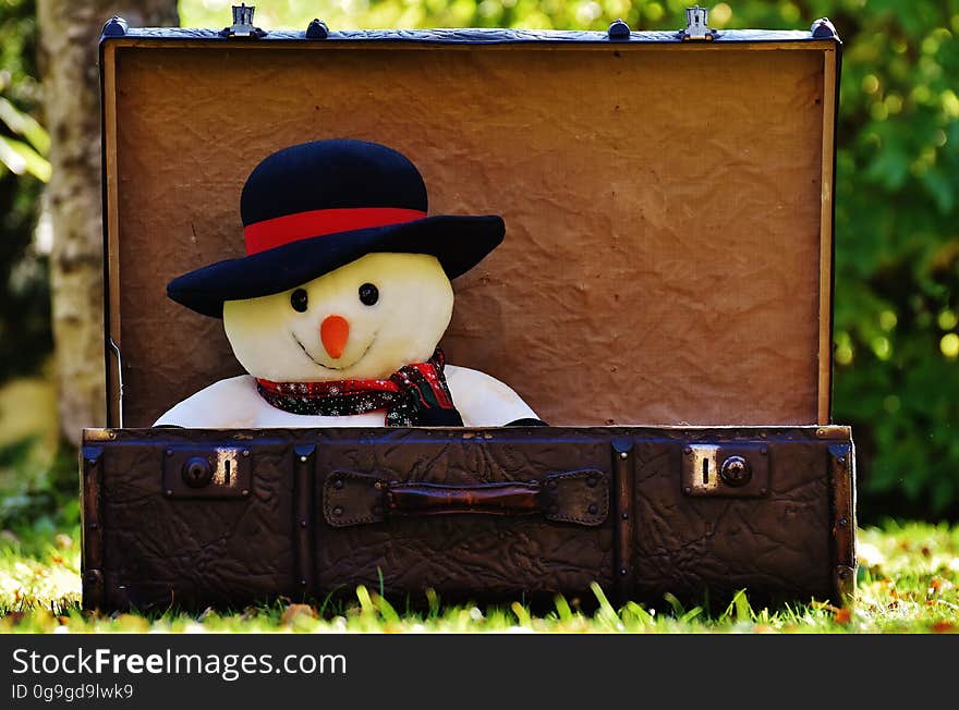 An old suitcase with a snowman plush toy inside it. An old suitcase with a snowman plush toy inside it.