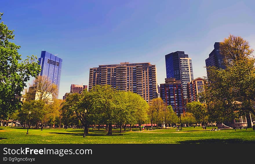 A park and modern office buildings in the background. A park and modern office buildings in the background.