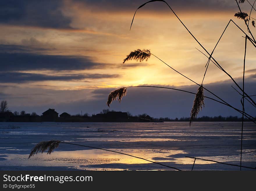 A sunset on the lake with the dry grasses in the foreground. A sunset on the lake with the dry grasses in the foreground.