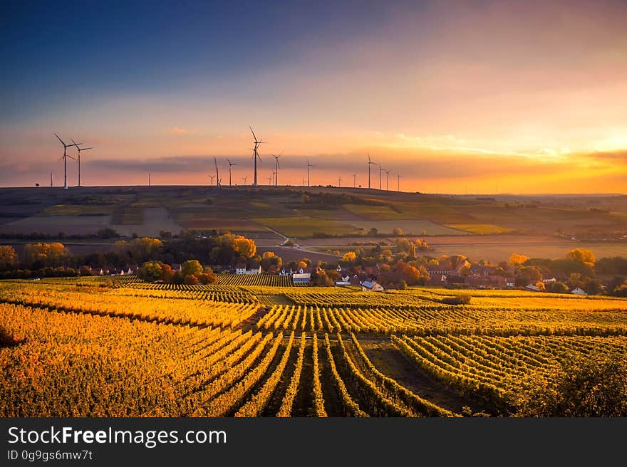 Scenic View of Agricultural Field Against Sky during Sunset