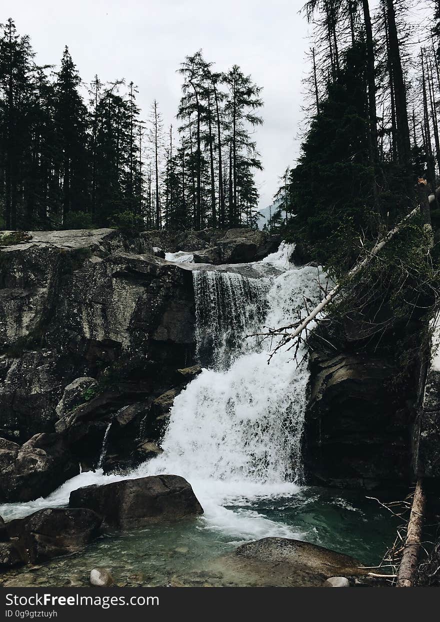 Scenic View of Waterfall in Forest Against Sky