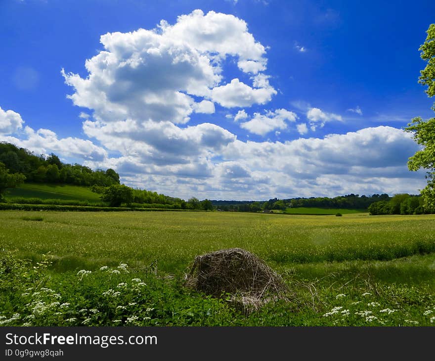 A landscape with green fields and blue skies with white clouds above.