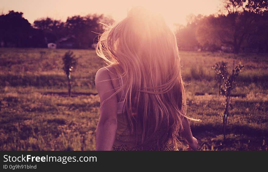 A long-haired woman seen from behind walking towards sunset. A long-haired woman seen from behind walking towards sunset.