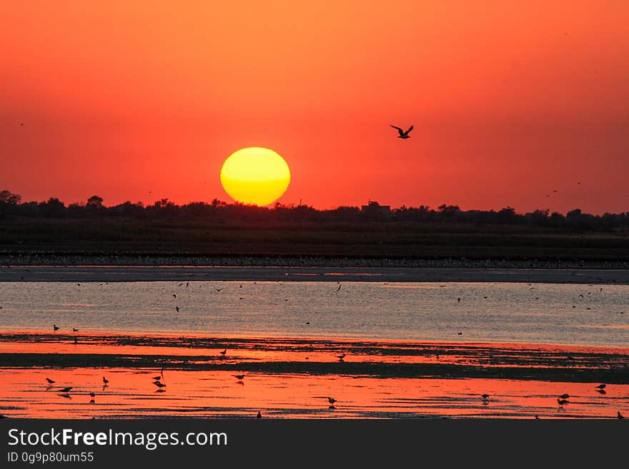 Red sunset on the sea