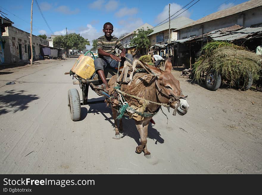 SOMALIA, Kismayo: In a photogaph taken 12 October 2013 and released by the African Union-United Nations Information Support Team 15 October, a man rides a donkey-drawn cart down a street during a patrol by Kenyan soldiers serving with the African Union Mission in Somalia &#x28;AMISOM&#x29; in the southern Somali port city of Kismayo. October 16 marks two years since the Kenya Defense Force first intervened in Somalia under Operation Linda Nchi - meaning Operation Protect the Country in Kiswahili - following a series of kidnappings and cross-border raids along the Kenya-Somalia border by the Al-Qaeda-affiliated terrorist group Al Shabaab. KDF forces were fully integrated into the African Union mission on 22 February 2012 and saw them capture the strategically and economiclly important port city of Kismayo from Al Shabaab in early October 2012 after a sustained 6-month advance across southern Somalia. AU/UN IST PHOTO / RAMADAN MOHAMED HASSAN. SOMALIA, Kismayo: In a photogaph taken 12 October 2013 and released by the African Union-United Nations Information Support Team 15 October, a man rides a donkey-drawn cart down a street during a patrol by Kenyan soldiers serving with the African Union Mission in Somalia &#x28;AMISOM&#x29; in the southern Somali port city of Kismayo. October 16 marks two years since the Kenya Defense Force first intervened in Somalia under Operation Linda Nchi - meaning Operation Protect the Country in Kiswahili - following a series of kidnappings and cross-border raids along the Kenya-Somalia border by the Al-Qaeda-affiliated terrorist group Al Shabaab. KDF forces were fully integrated into the African Union mission on 22 February 2012 and saw them capture the strategically and economiclly important port city of Kismayo from Al Shabaab in early October 2012 after a sustained 6-month advance across southern Somalia. AU/UN IST PHOTO / RAMADAN MOHAMED HASSAN.