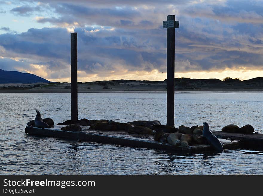 Enjoying a boat tour on a breezy winter evening. Enjoying a boat tour on a breezy winter evening