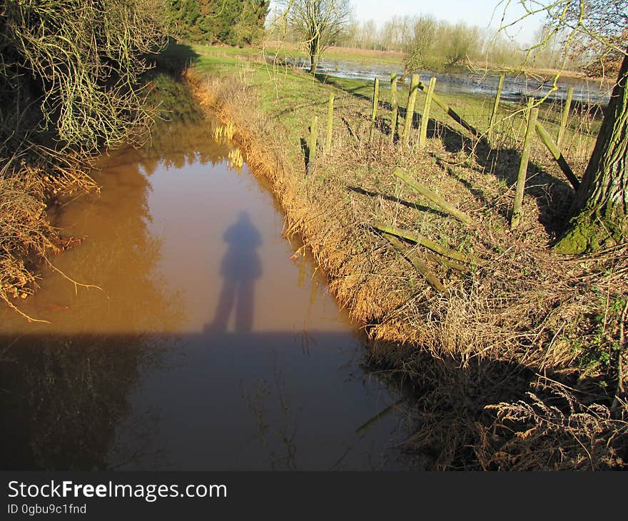 Water, Plant, Light, Nature, Leaf, Natural landscape