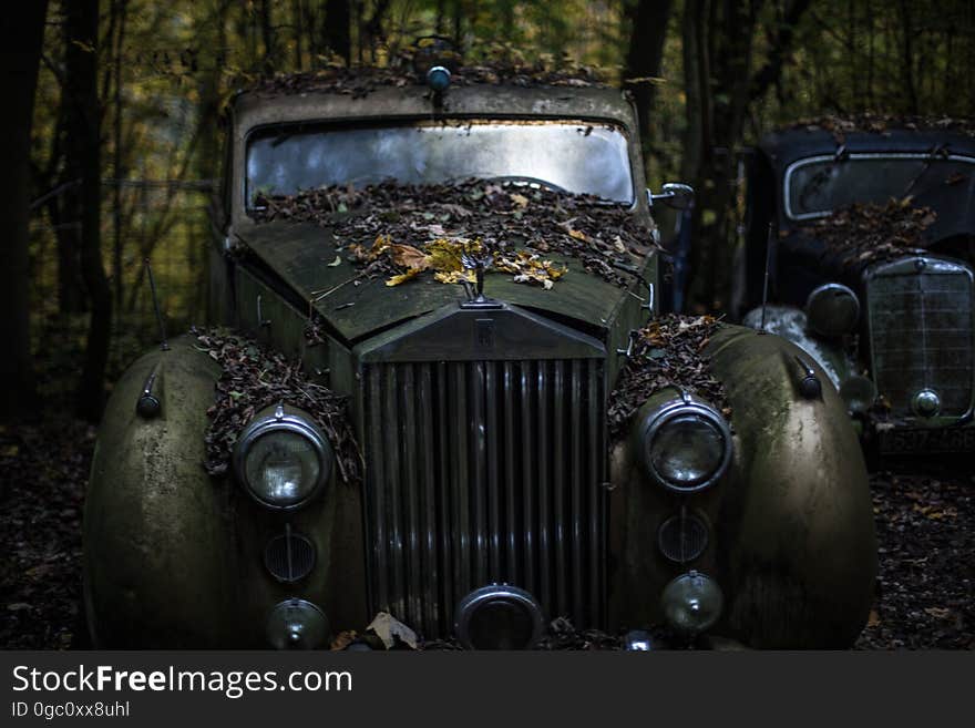 Green Classic Car in the Forest