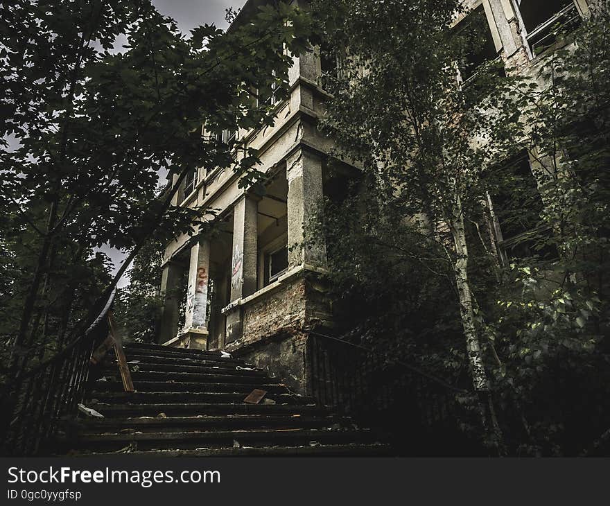 Black Concrete Staircase Beside Trees