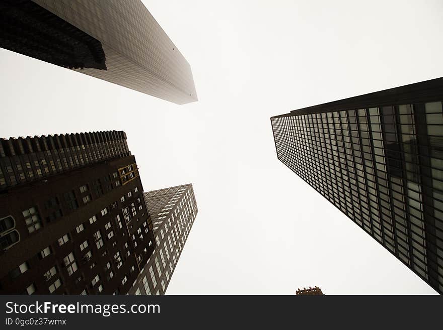 A low-angle view of skyscrapers in the city. A low-angle view of skyscrapers in the city.