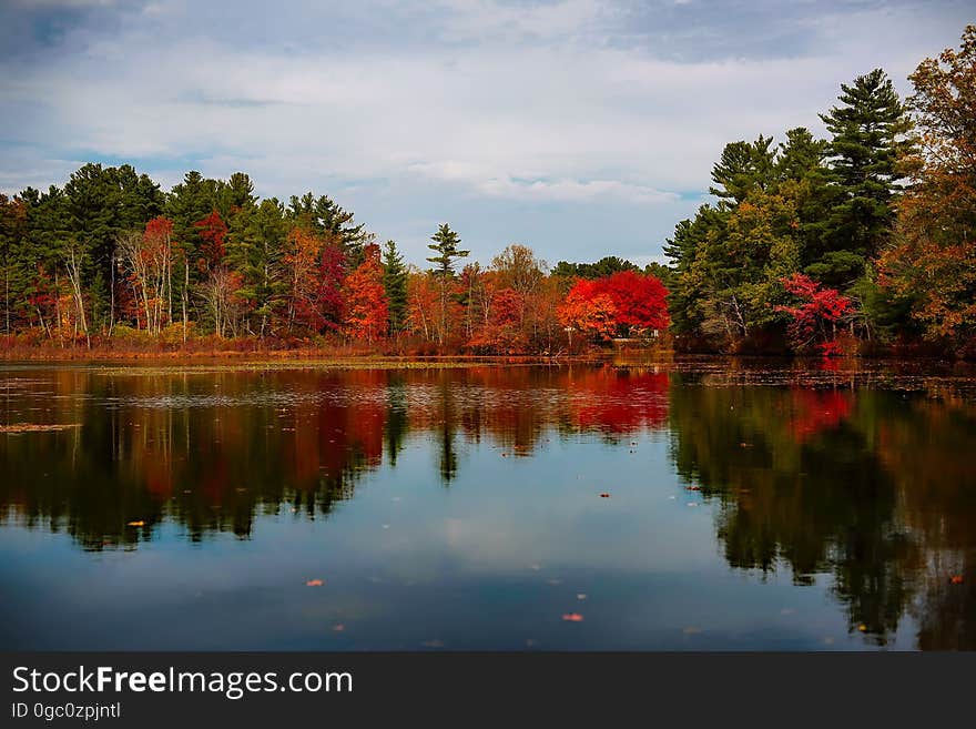 A placid lake with autumn trees on the shores. A placid lake with autumn trees on the shores.