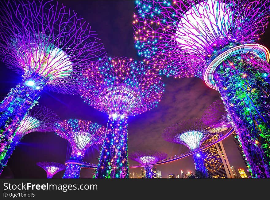 The supertrees at the Gardens by the Bay in Singapore. The supertrees at the Gardens by the Bay in Singapore.