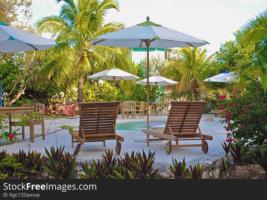 A tropical resort with swimming pool and sun loungers. A tropical resort with swimming pool and sun loungers.