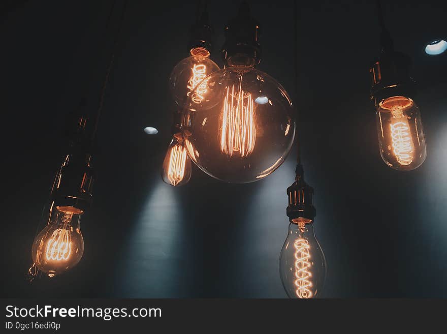 A bunch of incandescent light bulbs hanging from the ceiling. A bunch of incandescent light bulbs hanging from the ceiling.