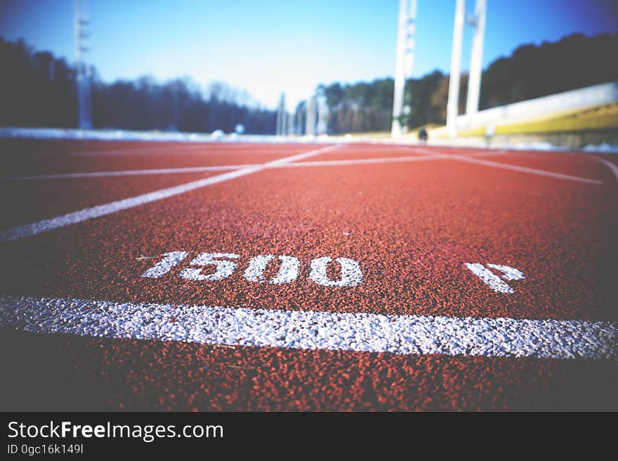 A close up of the surface of a running track.