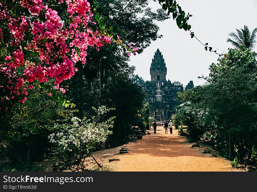 Angkor Wat#1