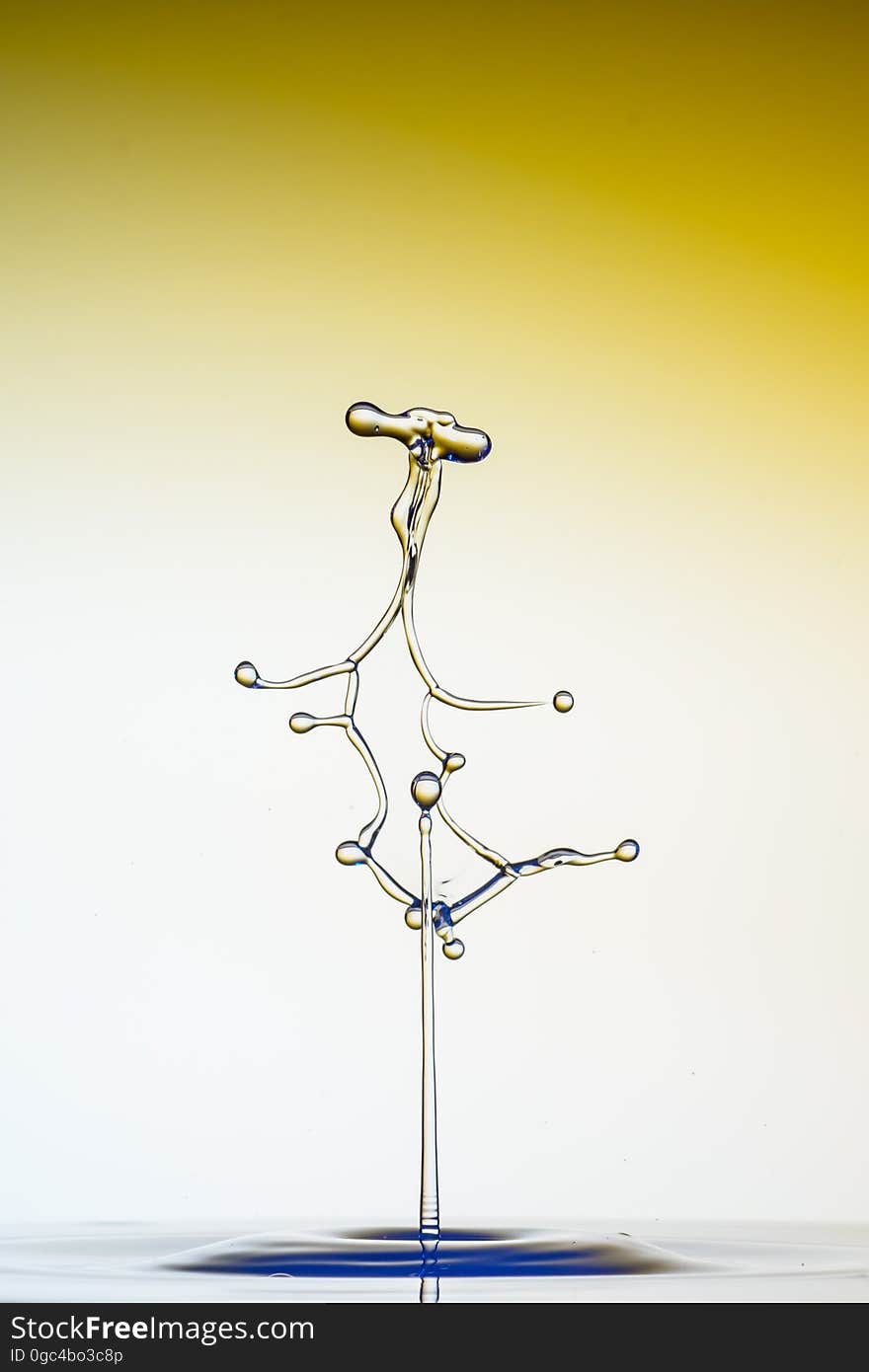 Line, Product Design, Still Life Photography, Twig