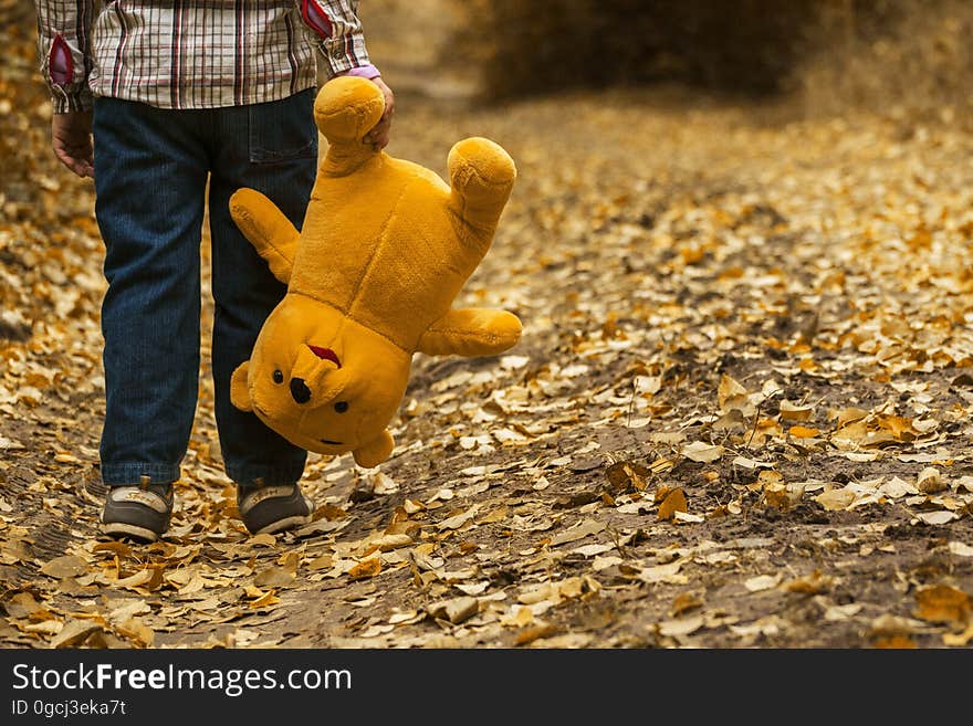 Yellow, Leaf, Autumn, Grass