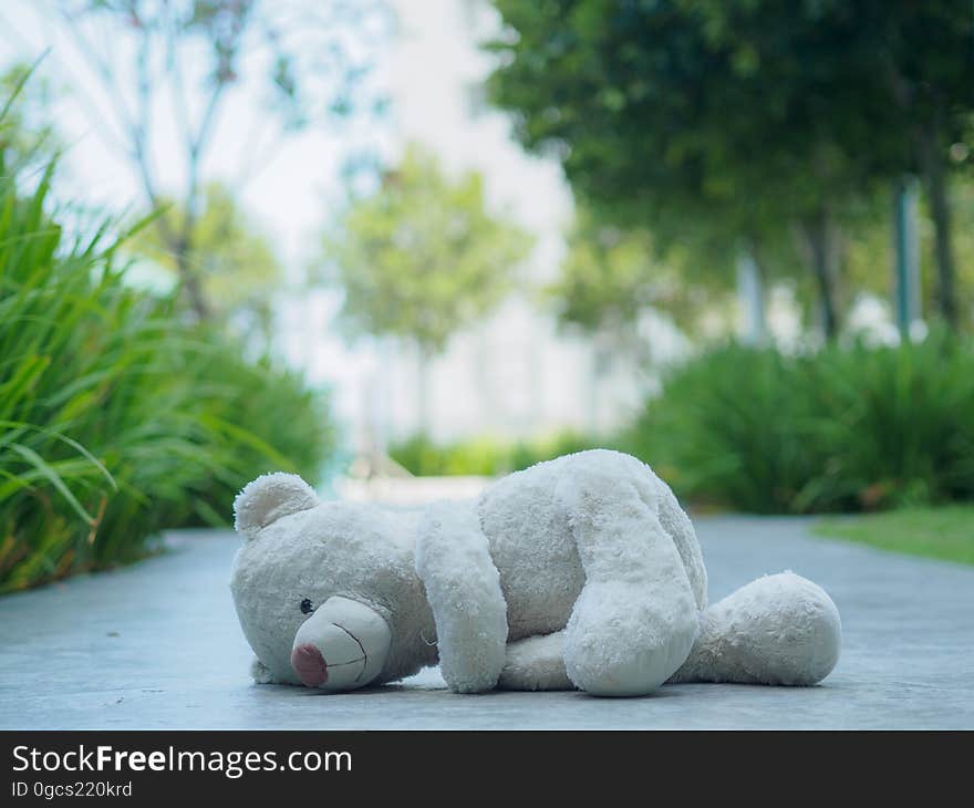 Lonely Teddy Bear sleeping on the walk way or road Concept about love. Lonely Teddy Bear sleeping on the walk way or road Concept about love