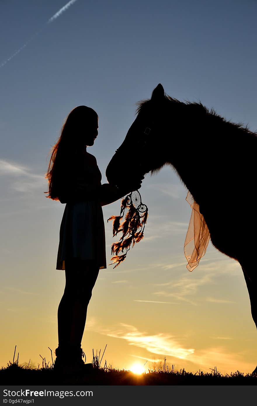 The silhouette of a woman with a horse against the blue skies at sunset. The silhouette of a woman with a horse against the blue skies at sunset.