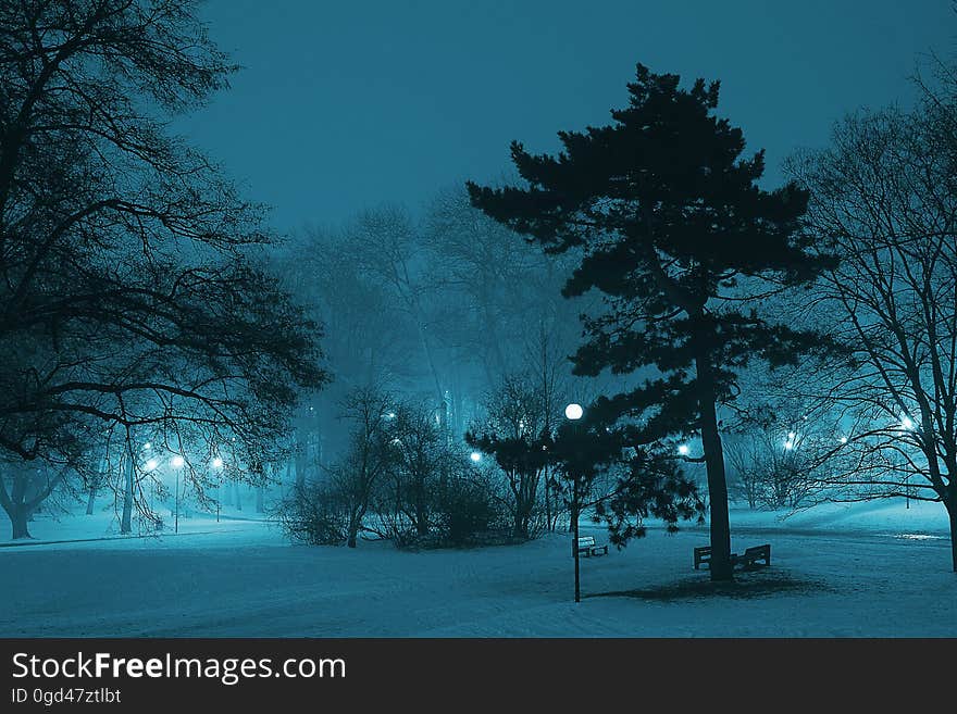 A city park at winter with blue light.