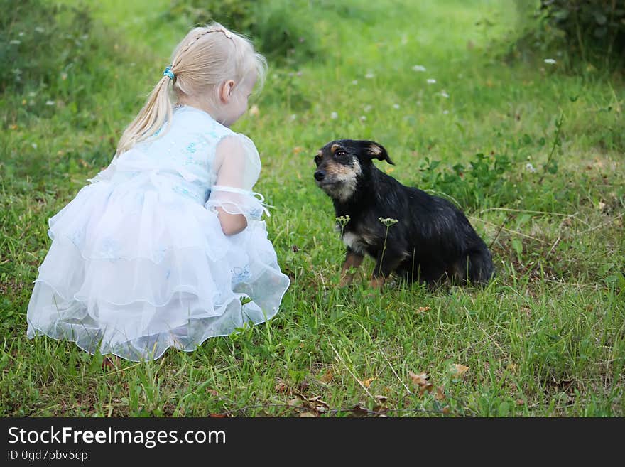 A little girl with a dog in the summer garden