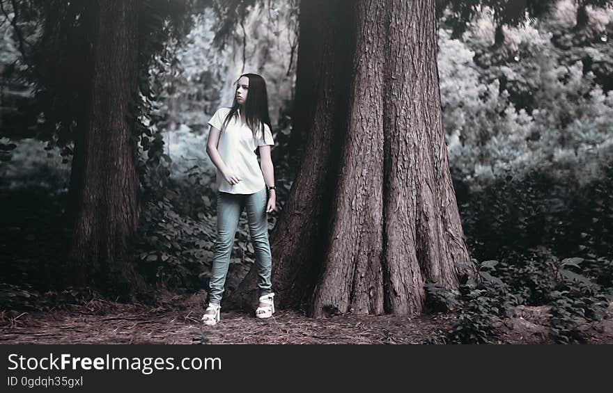 Woman in T Shirt Posing Beside Rough Bark Tall Tree in Grayscale Photography