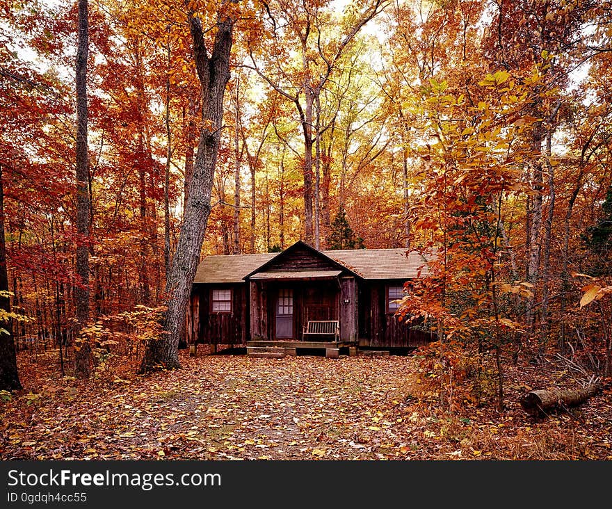 A small cabin in the forest in the autumn. A small cabin in the forest in the autumn.