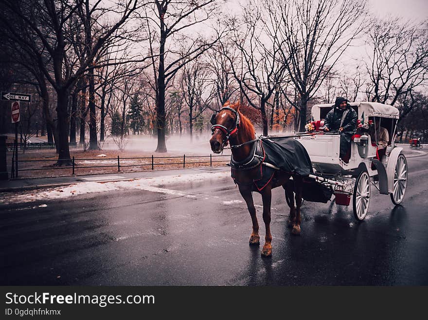 A horse and buggy on the street in winter. A horse and buggy on the street in winter.