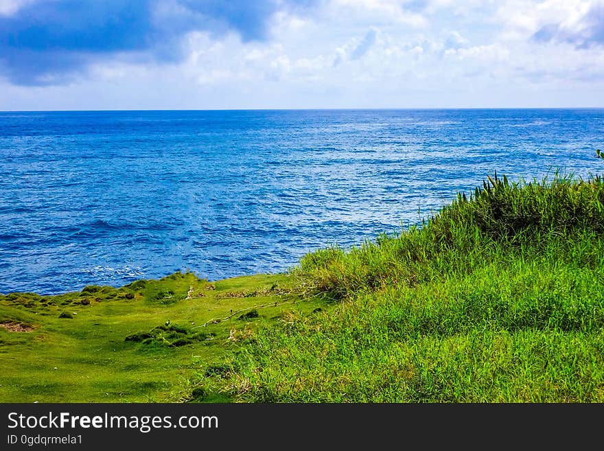 The surface of the blue sea with green coast. The surface of the blue sea with green coast.