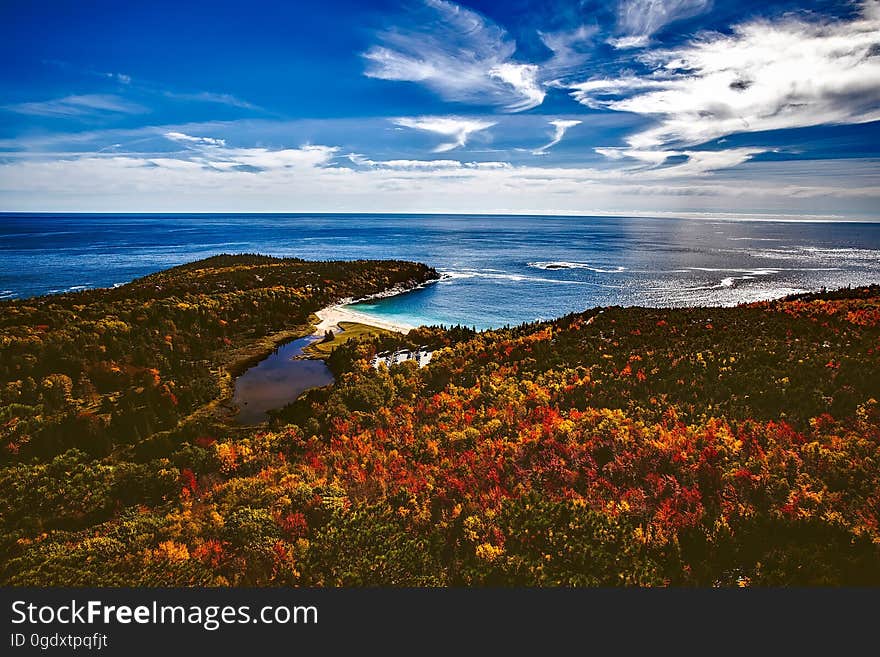 A forest by the shore of the sea in autumn colors. A forest by the shore of the sea in autumn colors.